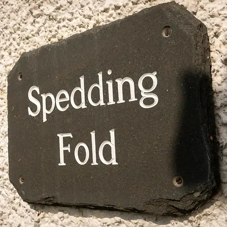 Spedding Fold 查普尔斯提莱